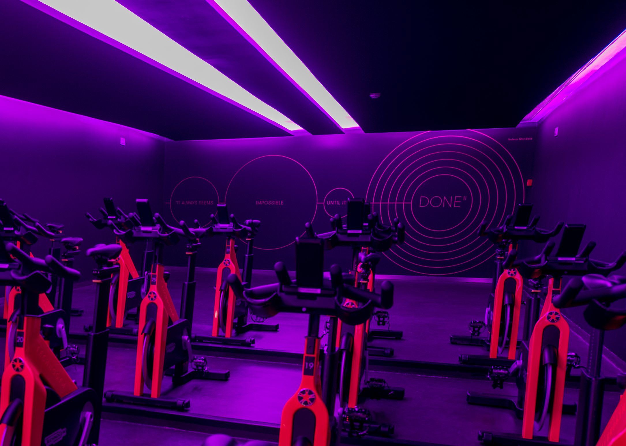 Luxcorpus Banners Website 14