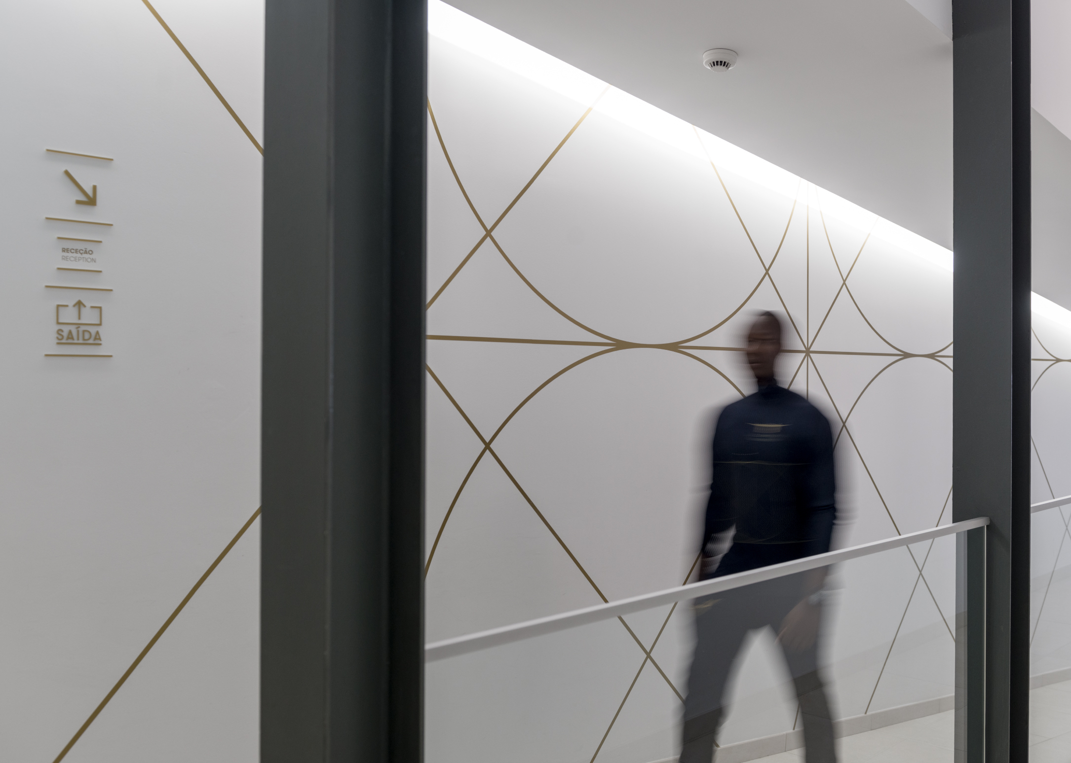 Luxcorpus Banners Website 16