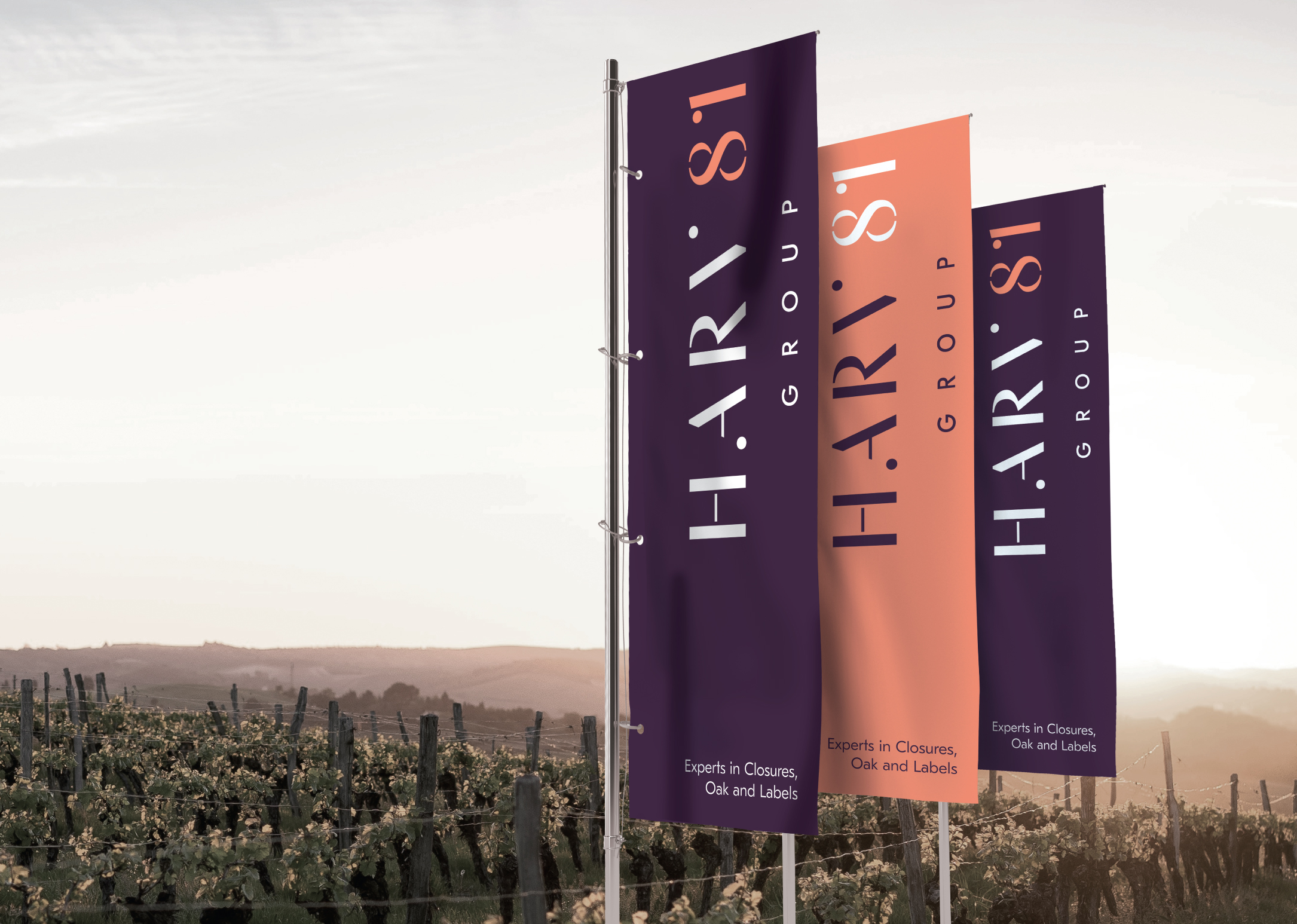 Harv81group Banners Website 01