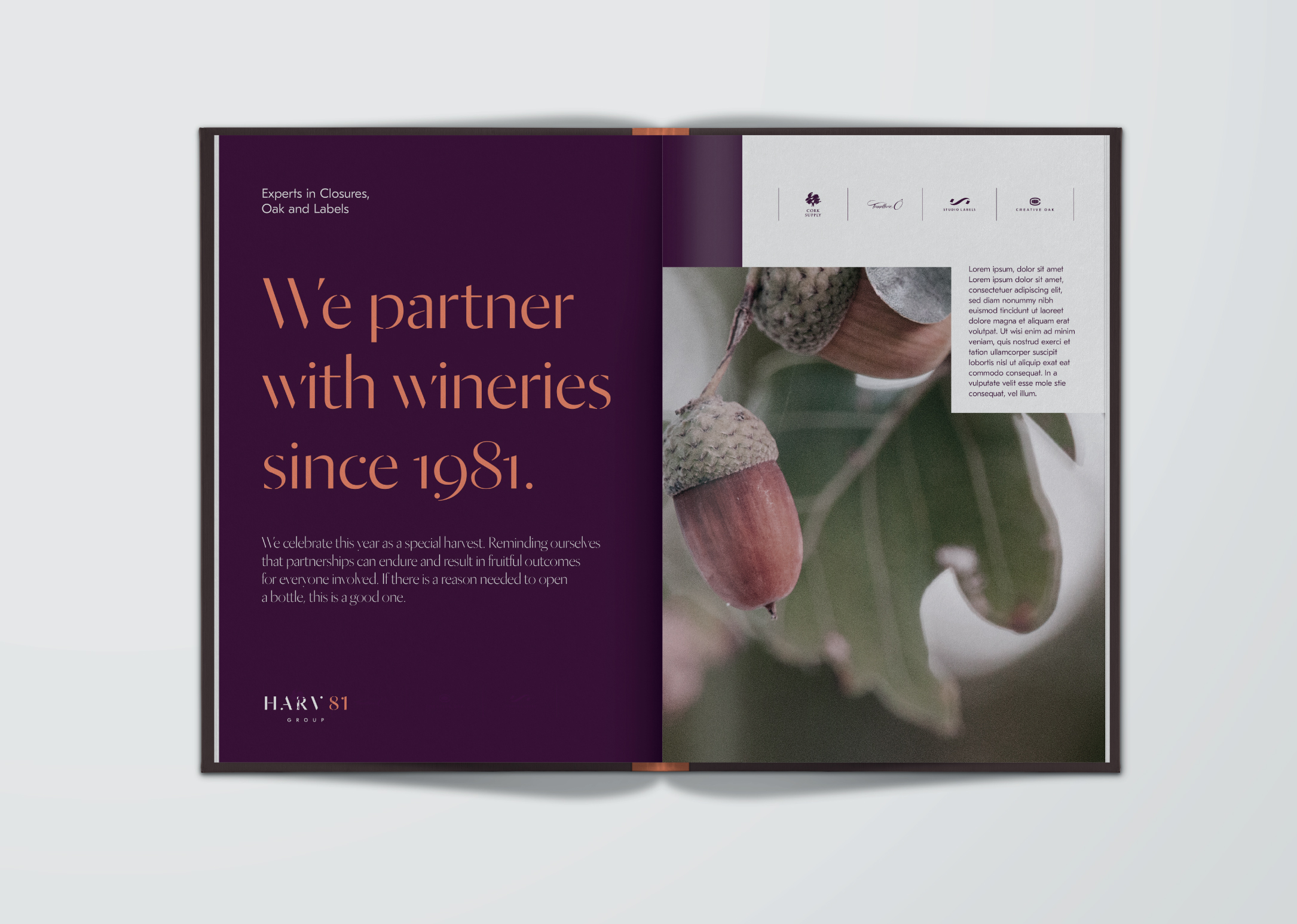 Harv81group Banners Website 04