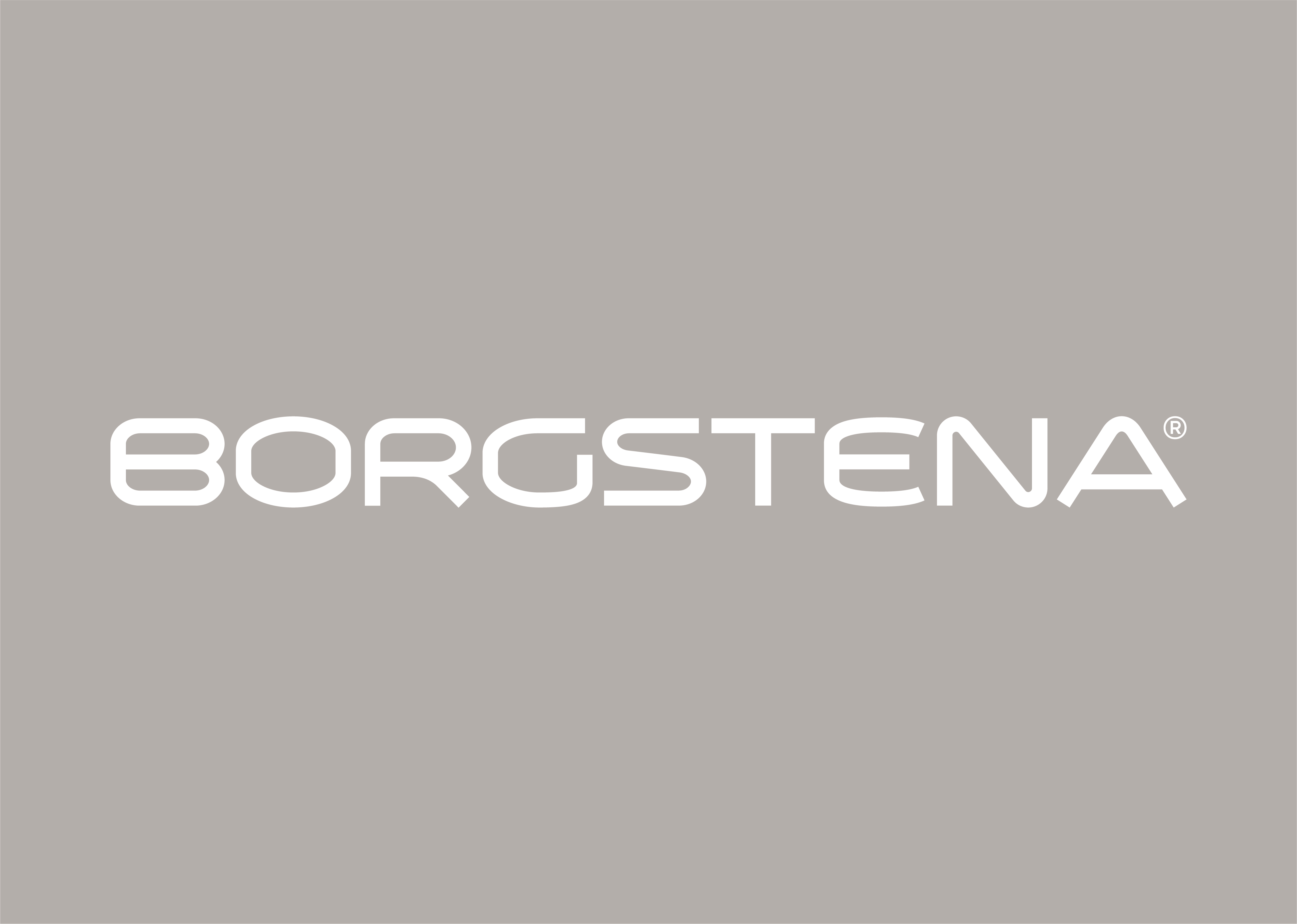 01Caseweb Borgstena Brand