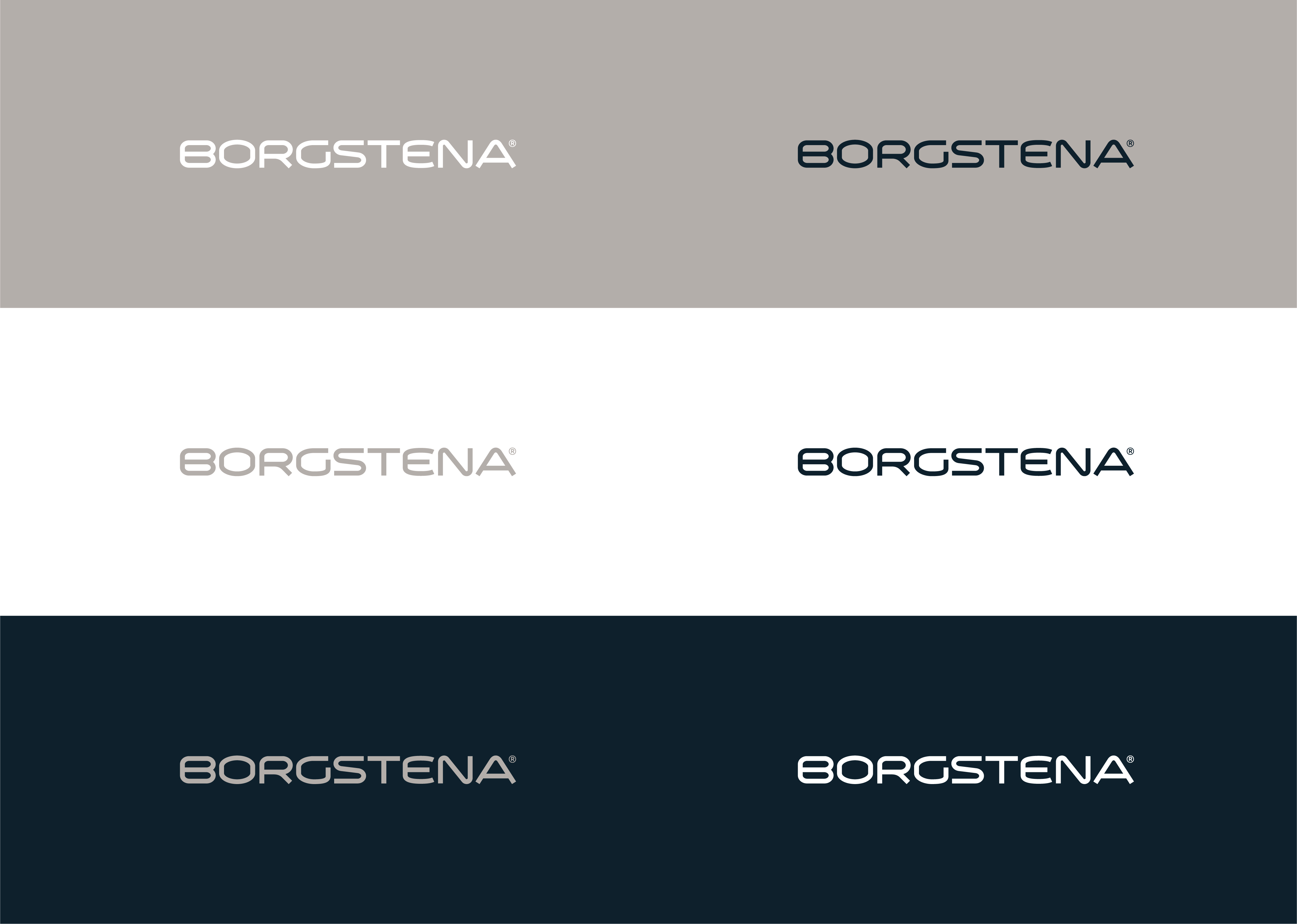 06Caseweb Borgstena Carousel 01