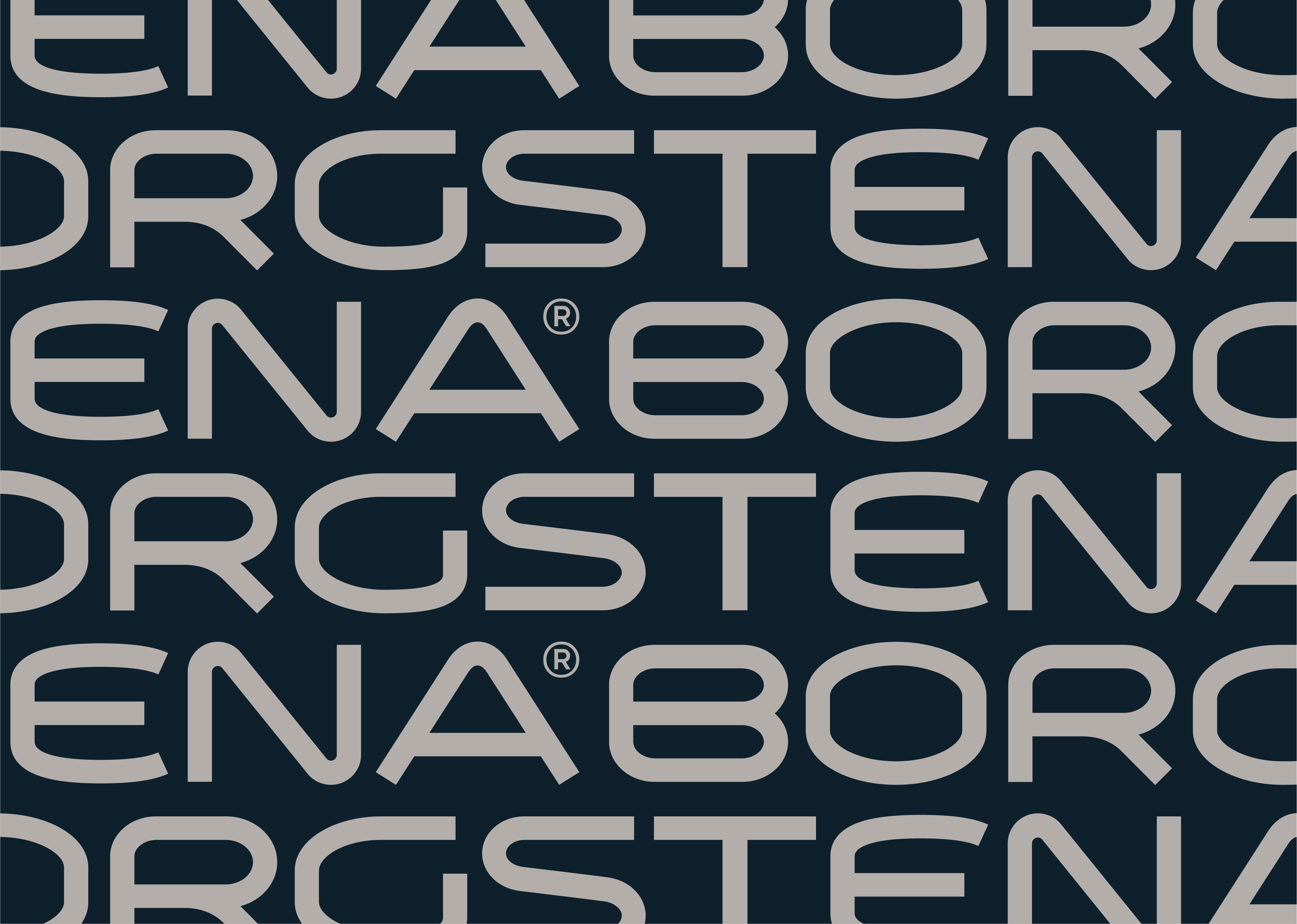 06Caseweb Borgstena Carousel 03