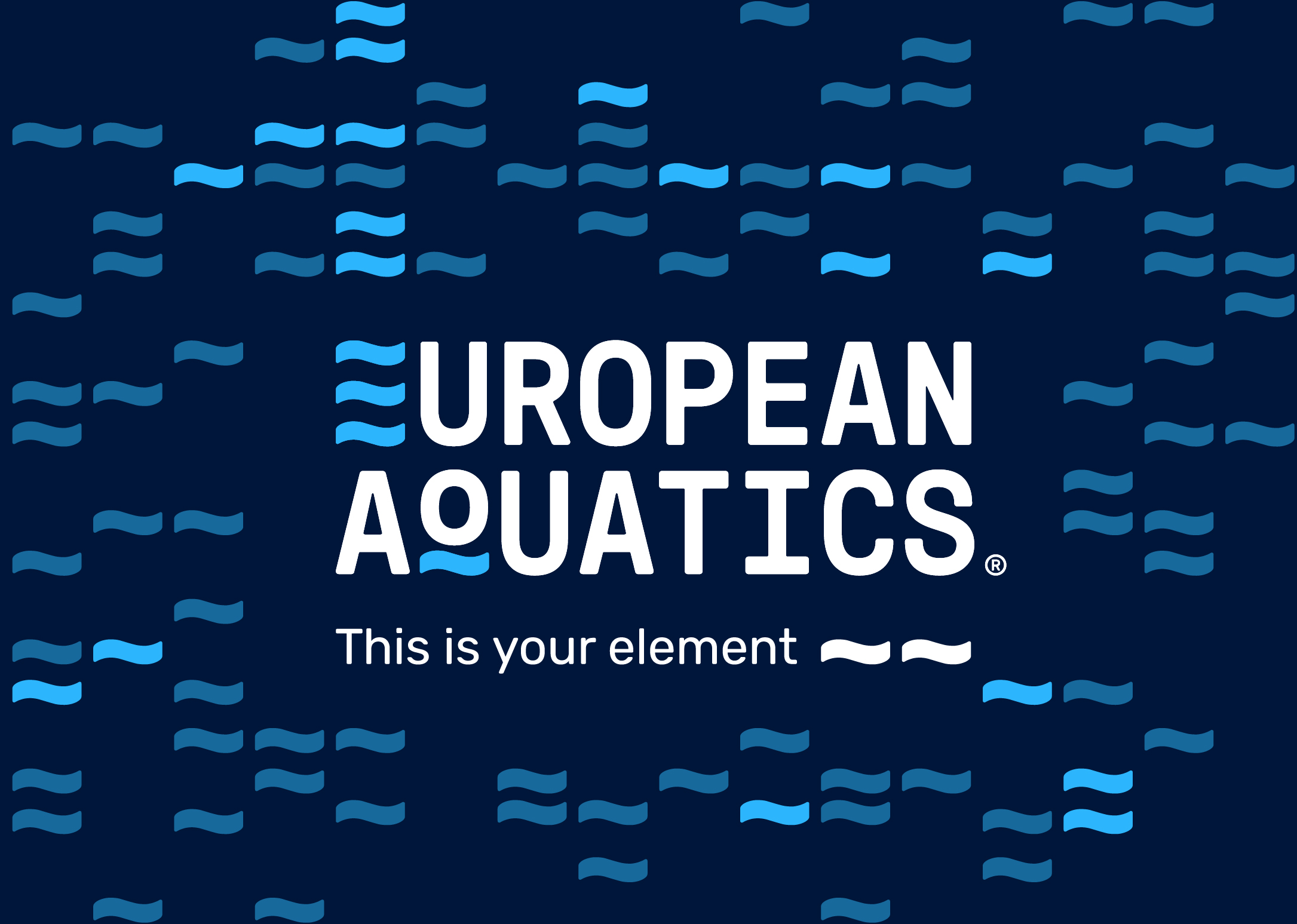 10Caseweb EA System03