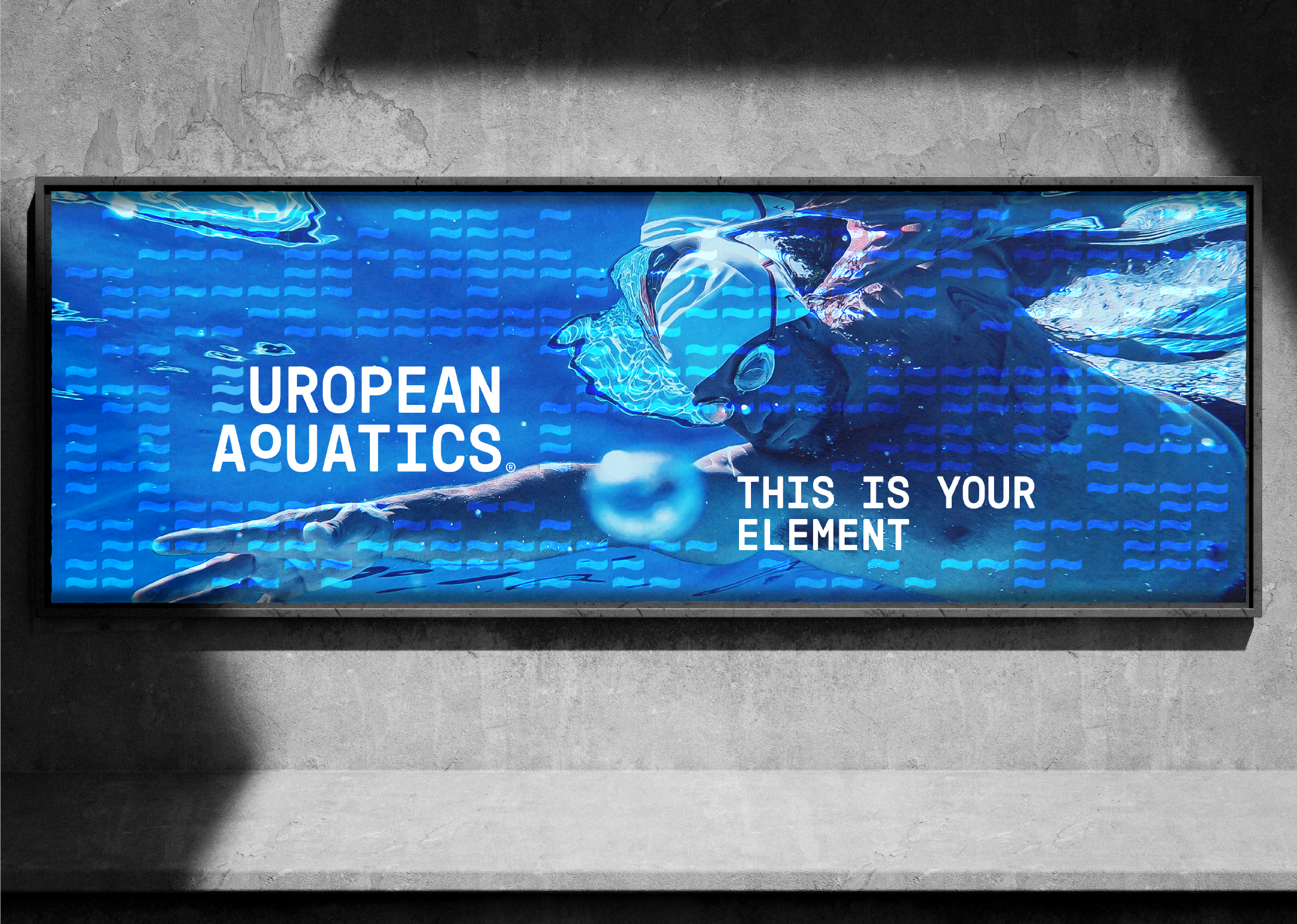 13Caseweb EA Carousel08