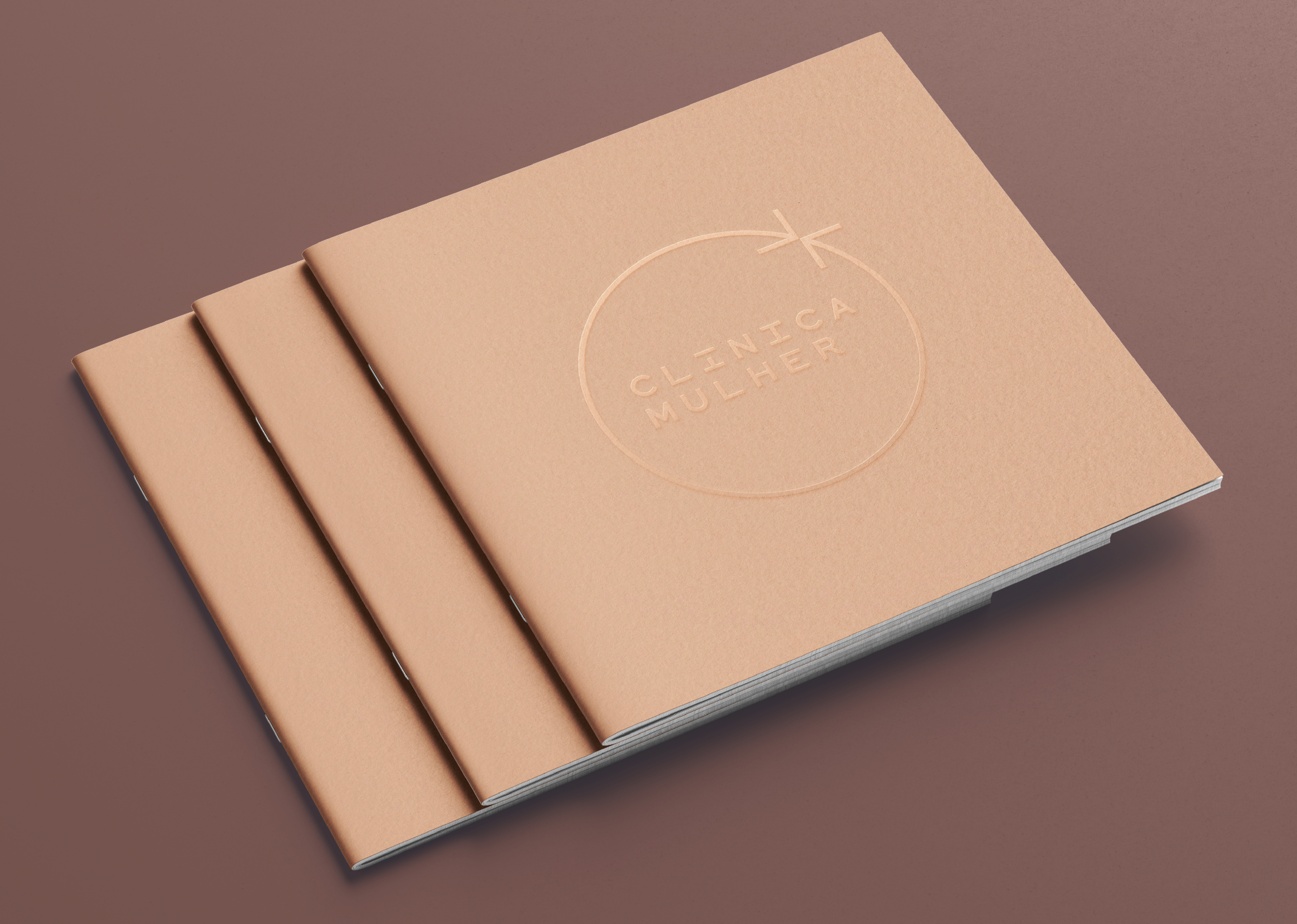 14Caseweb Clinicamulher Carrousel 07