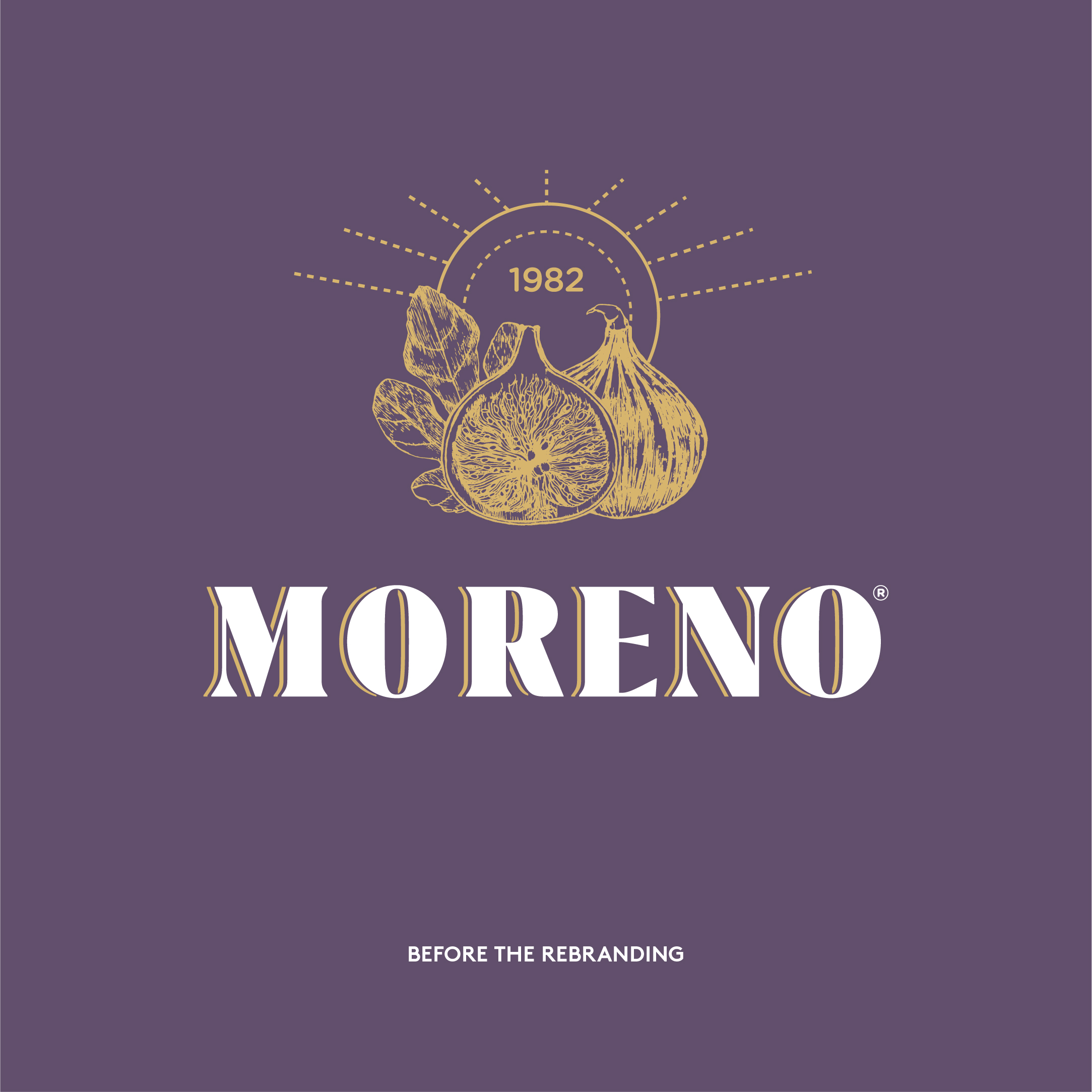 Case Moreno Website 20251217 02Caseweb Projeto Antes